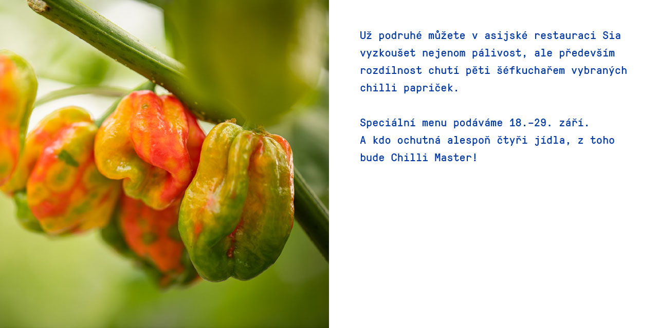 Together - toto léto si vychutnáme společně!