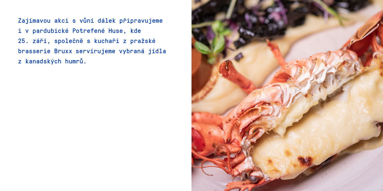 Together - toto léto si vychutnáme společně!