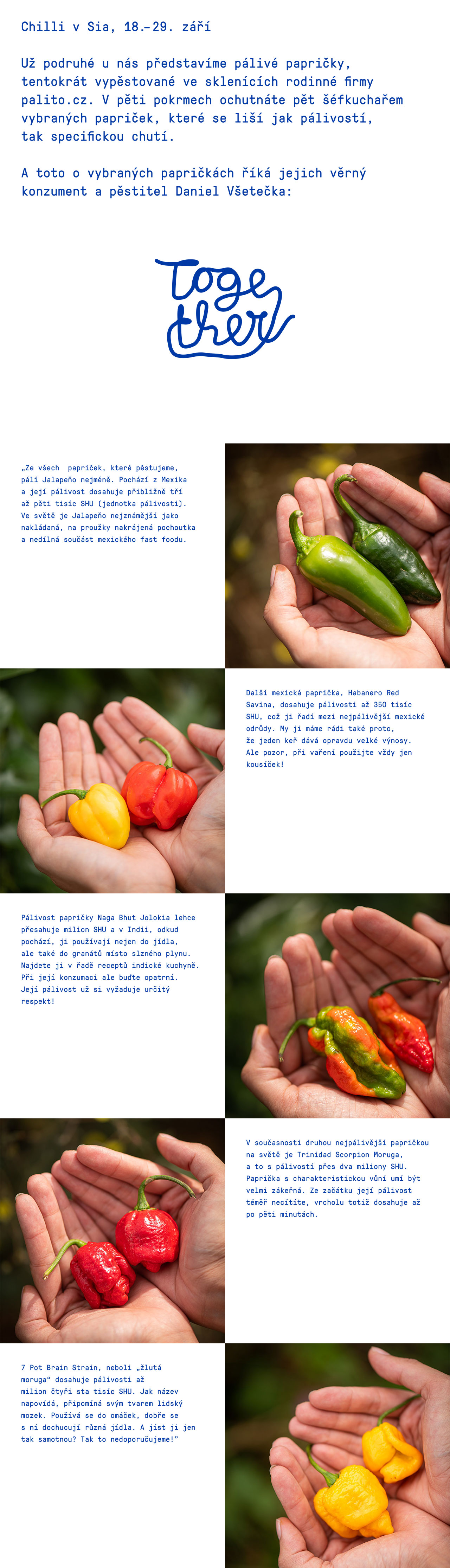 Together - toto léto si vychutnáme společně!