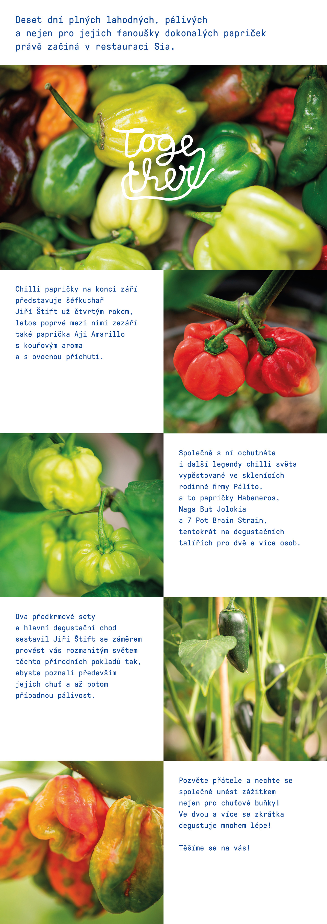 Poznejte chutě chilli papriček v restauraci Sia!