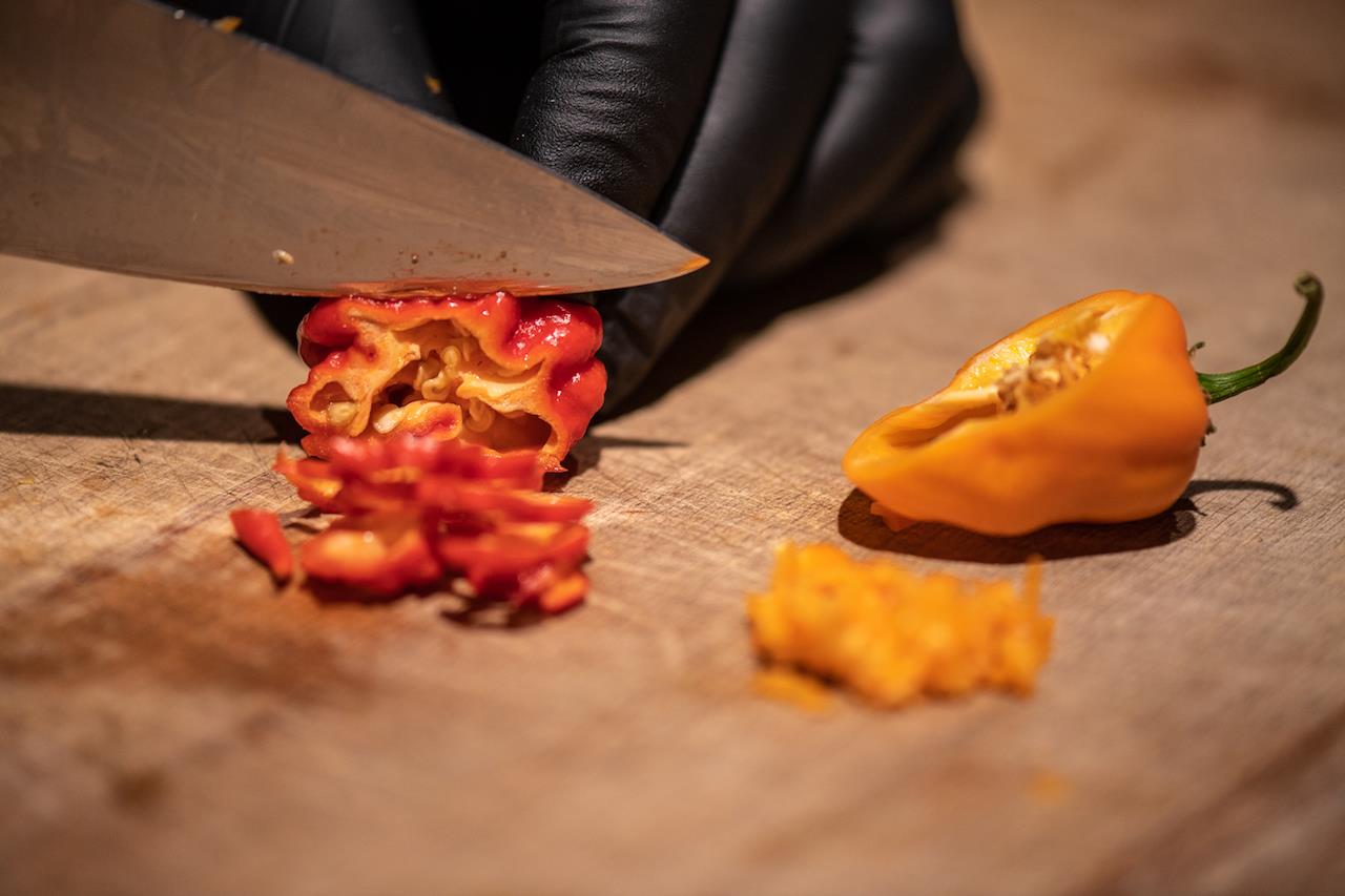 chilli papričky
