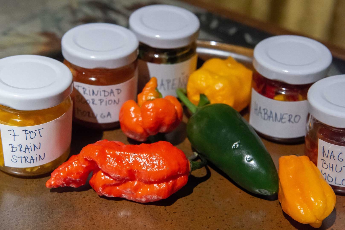 Různé druhy chilli papriček
