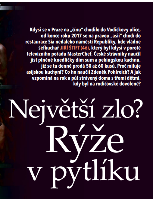 článek z časopisu